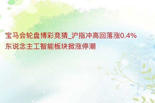 宝马会轮盘博彩竞猜_沪指冲高回落涨0.4% 东说念主工智能板块掀涨停潮